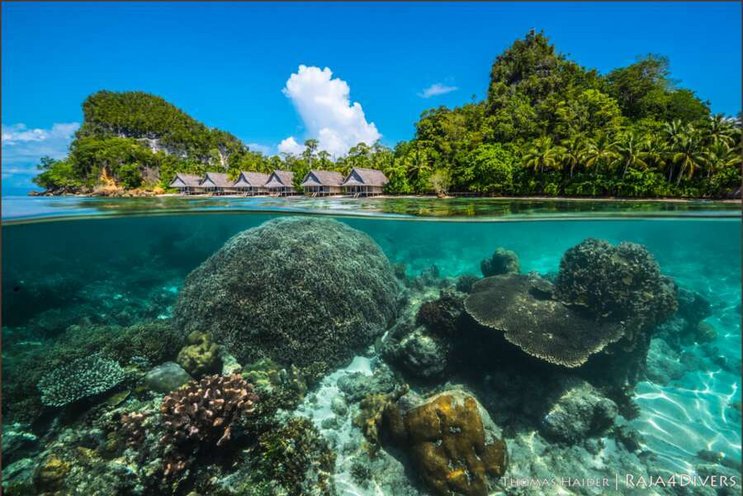 Raja4Divers