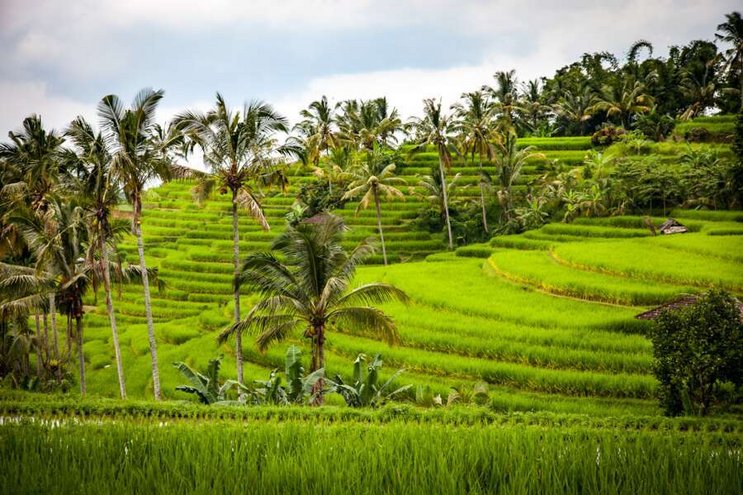 Dive & Culture - Bali Aktiv