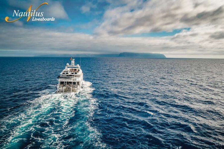 Nautilus Belle Amie